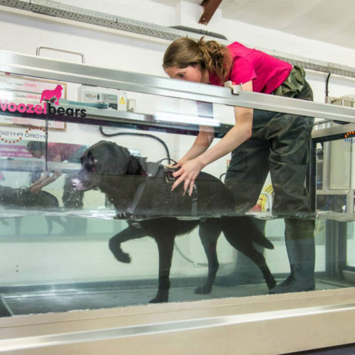 Why Hydrotherapy?